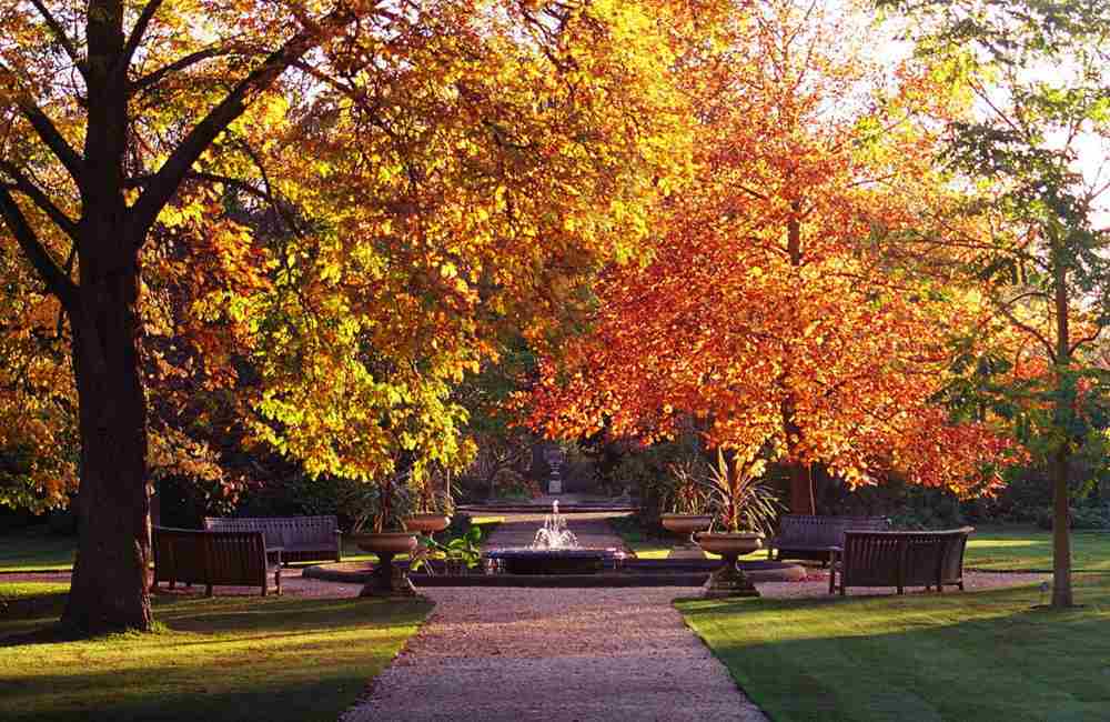 Oxford Botanic Garden