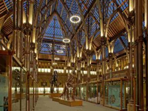 ultimate-guide-to-the-Museum-of-Natural-History-Oxford-walking-tours