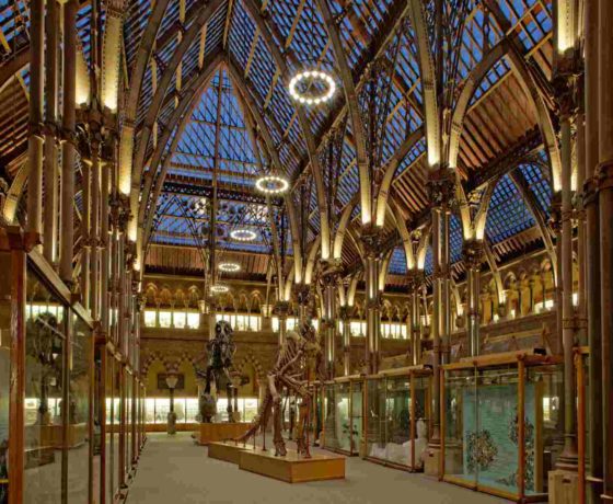 ultimate-guide-to-the-Museum-of-Natural-History-Oxford-walking-tours