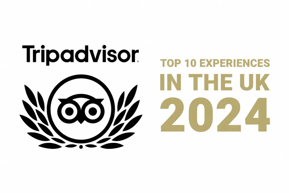 tripadvisor-award-landscape-optimised